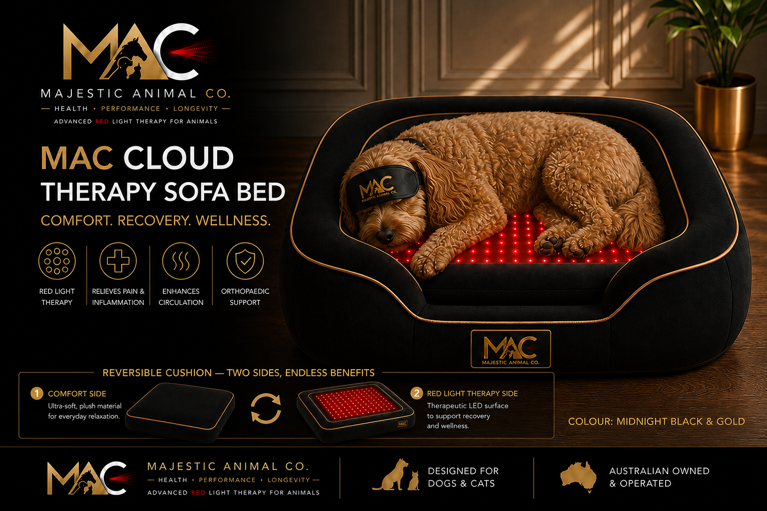 Midnight Black Cloud Therapy Bed