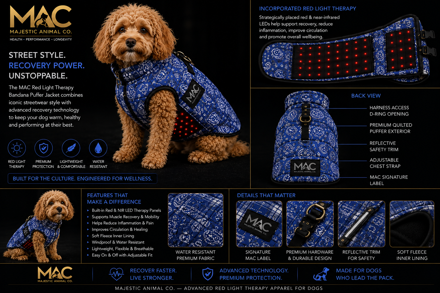 Blue bandana jacket